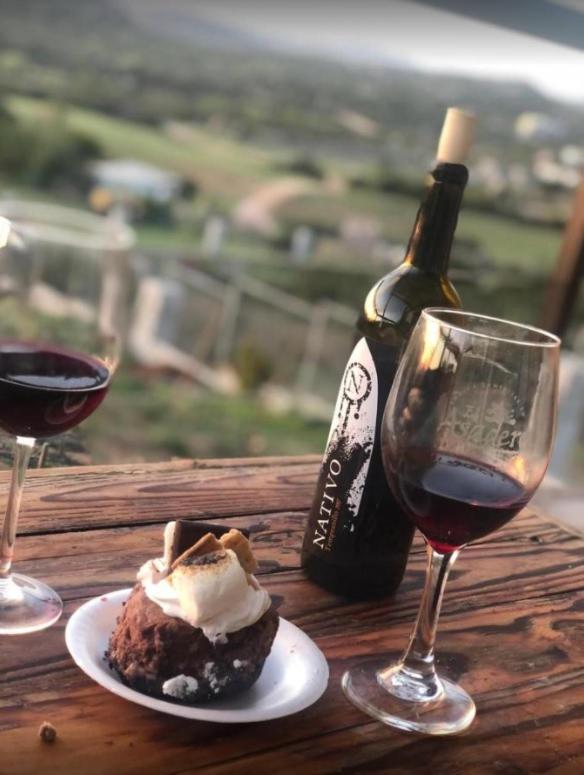 Chalet Nativo - Fabulous Terrace & Vineyard Valle de Guadalupe Ngoại thất bức ảnh